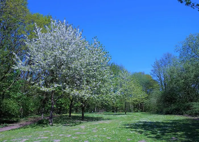 Panoramic App A14-zehn *